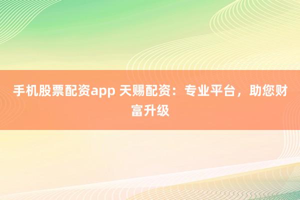 手機股票配資app 天賜配資：專業平臺，助您財富升級