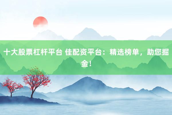 十大股票杠桿平臺 佳配資平臺：精選榜單，助您掘金！